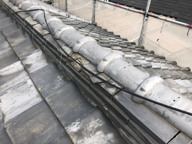 棟付近・別箇所